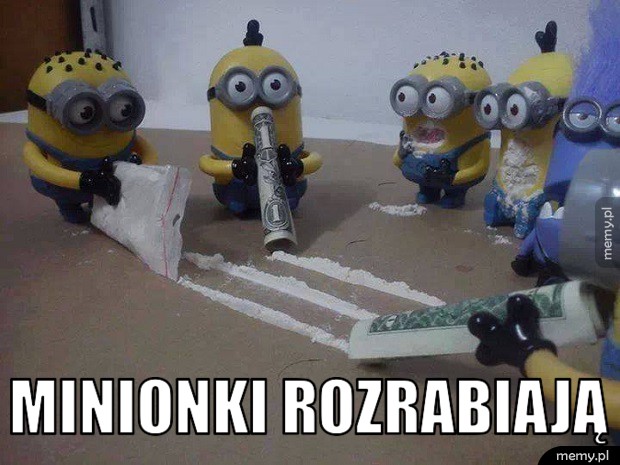 Minionki.
