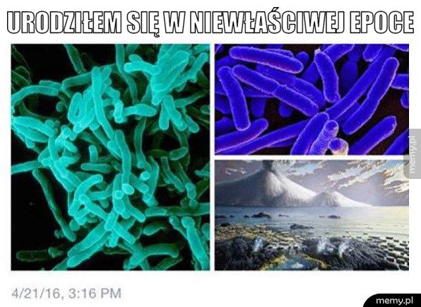 Kiedyś było lepiej