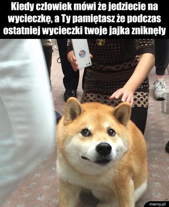 Wycieczka