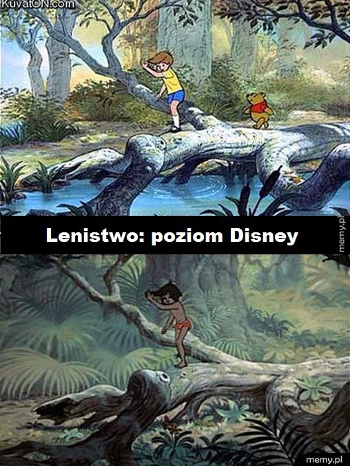 Ciekawostka