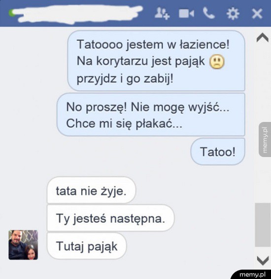 Pająk