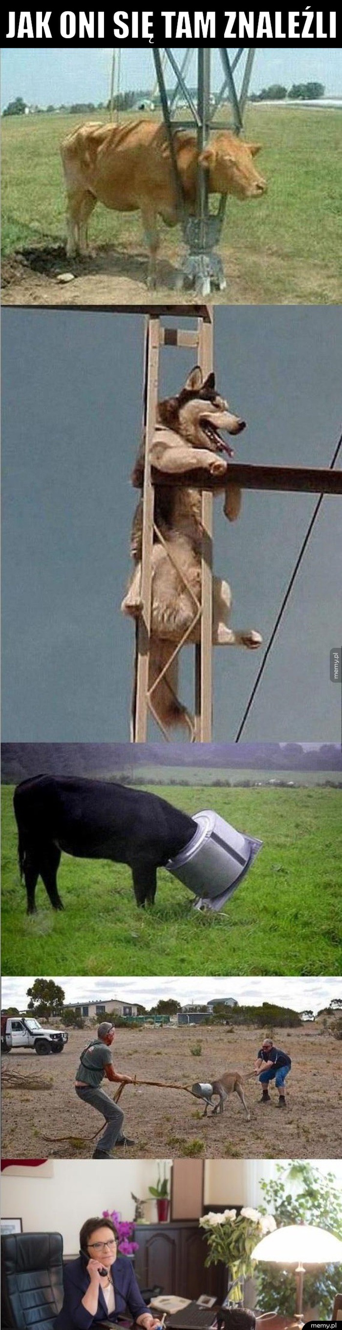 Jak oni się tam znaleźli?  