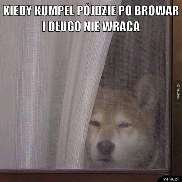 Wymiar tęsknoty. 