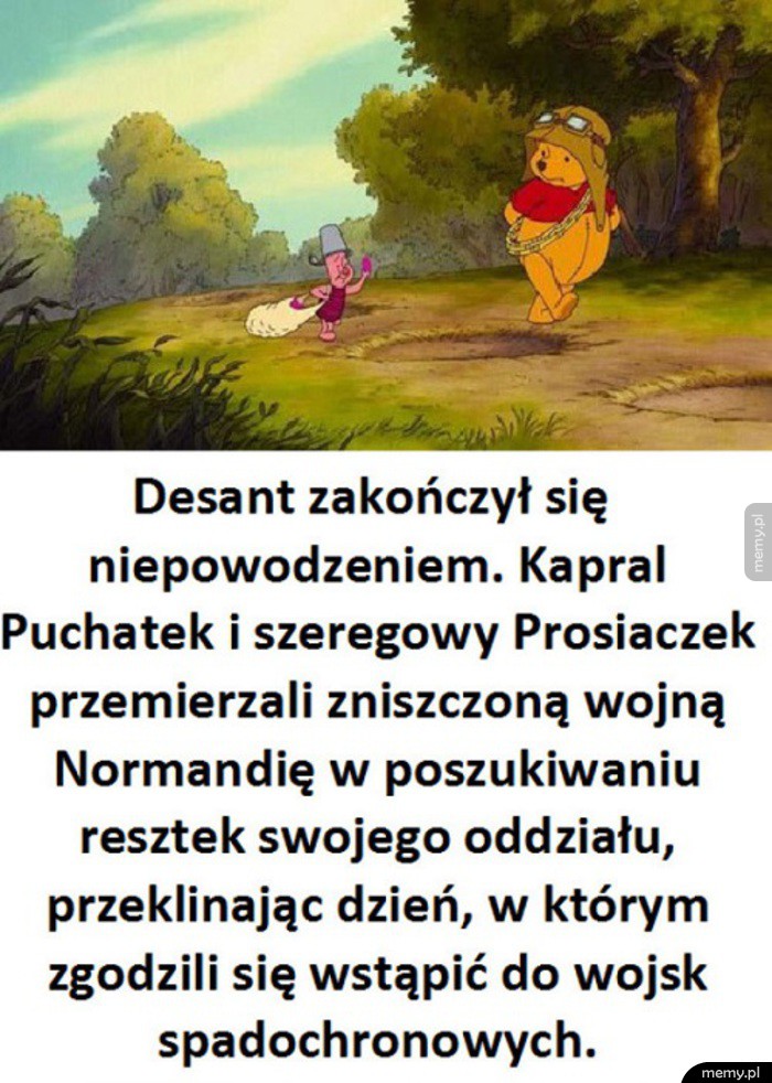 Puchatek w Normandii