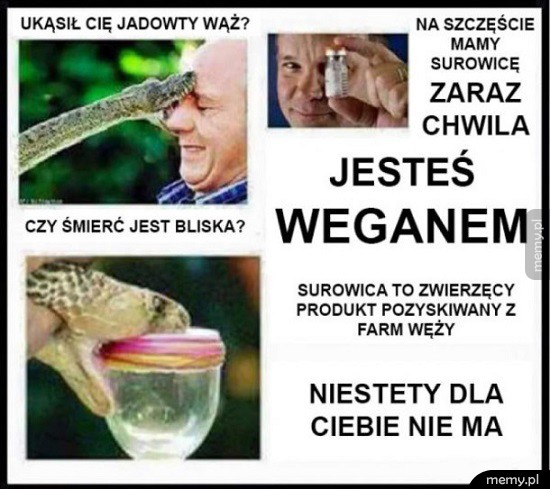 Niestety