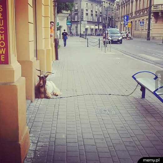 Tymczasem w Krakowie...