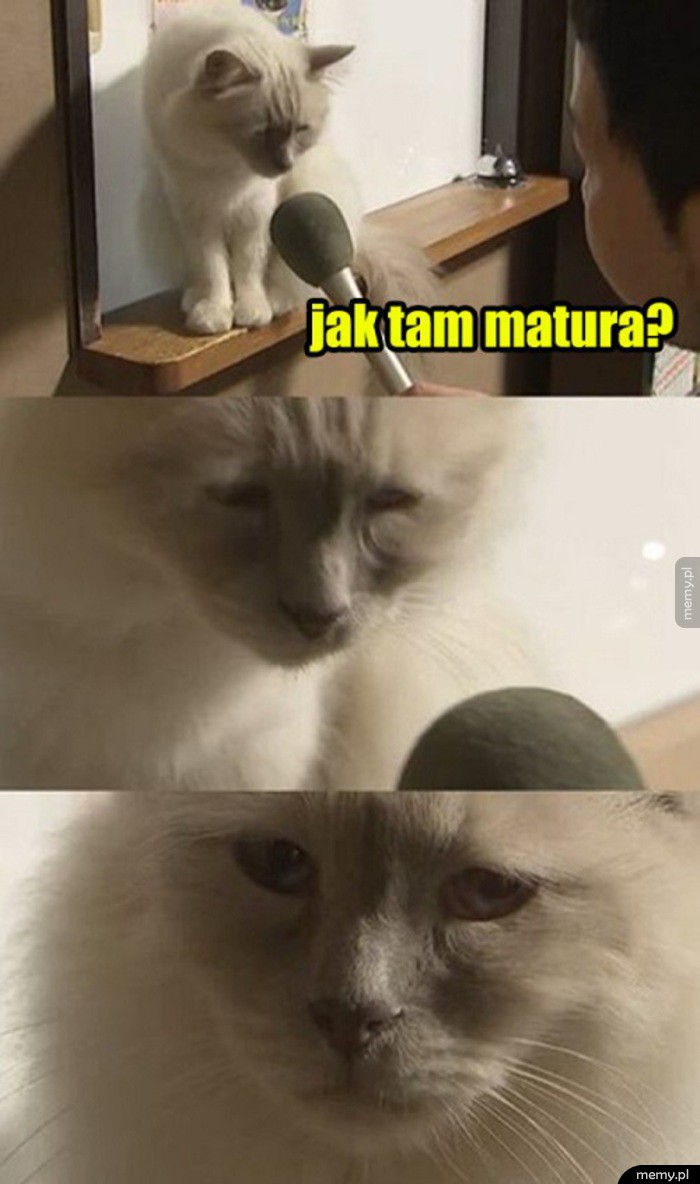 Matura