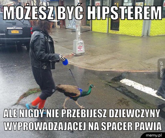 Wyższy poziom hipsterstwa