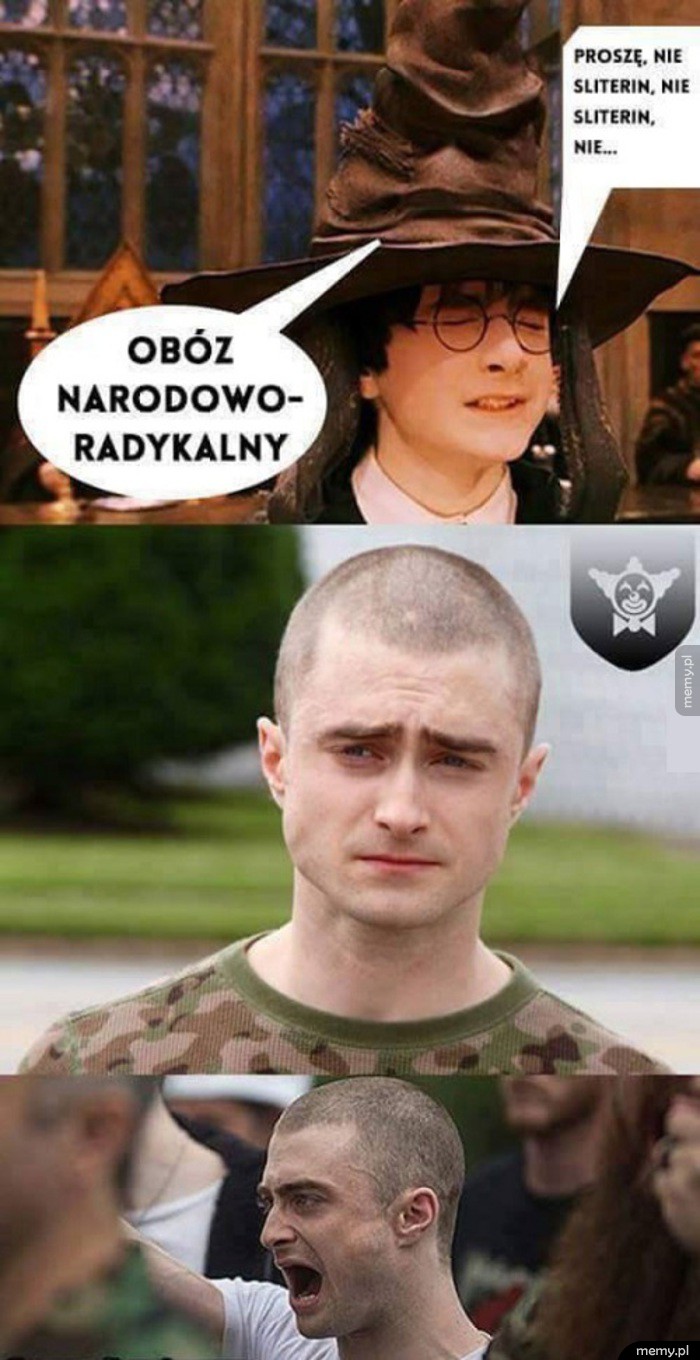 Harry Potter
