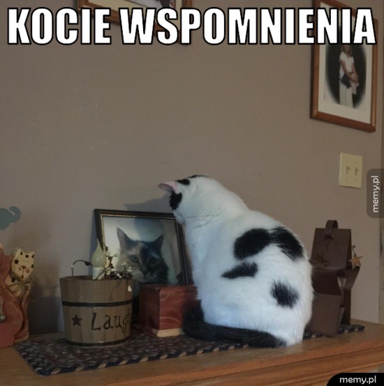 Wspomnienia