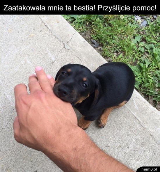 Bestia