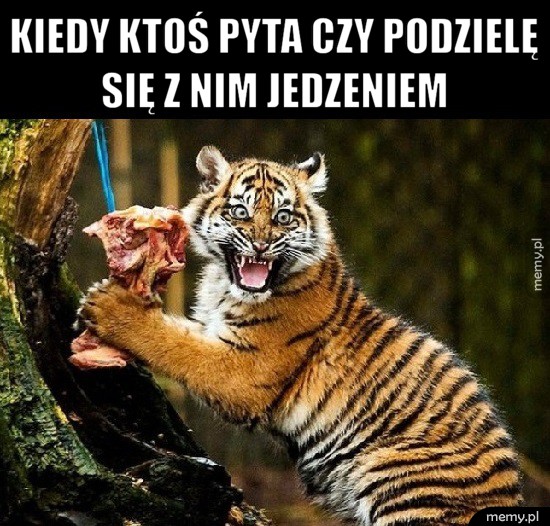 Kiedy ktoś pyta...