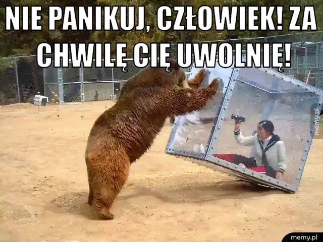 Nie panikuj, człowiek!