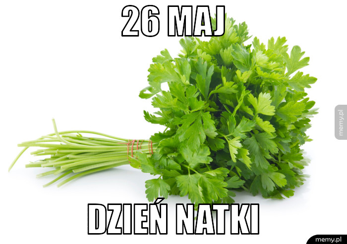26 MAJ DZIEŃ NATKI