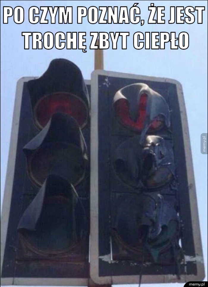 Po czym poznać...