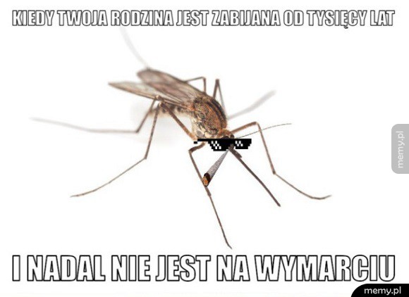 I jeszcze ich przybywa