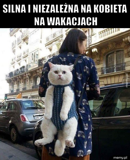 Silna i niezależna