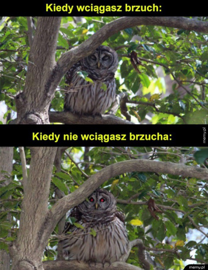Czas na dietę