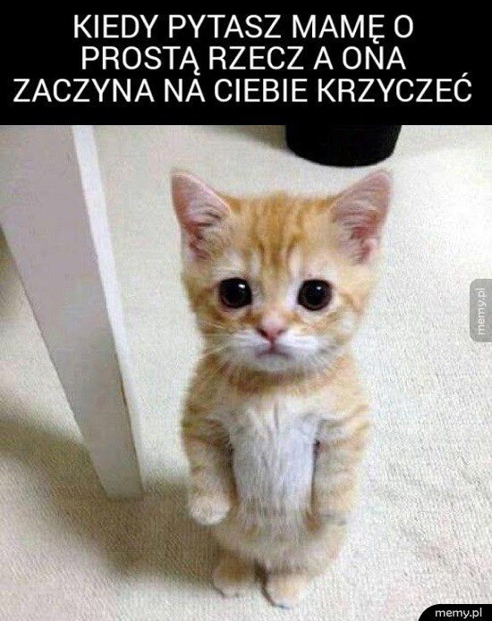 Mamy takie są