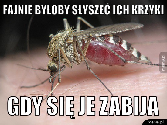 Fajnie byłoby