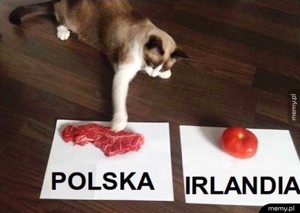Wynik jest jednoznaczny