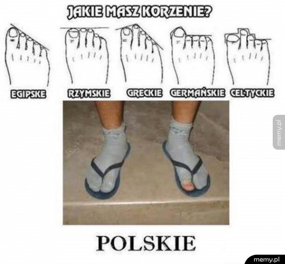 Jakie masz korzenie