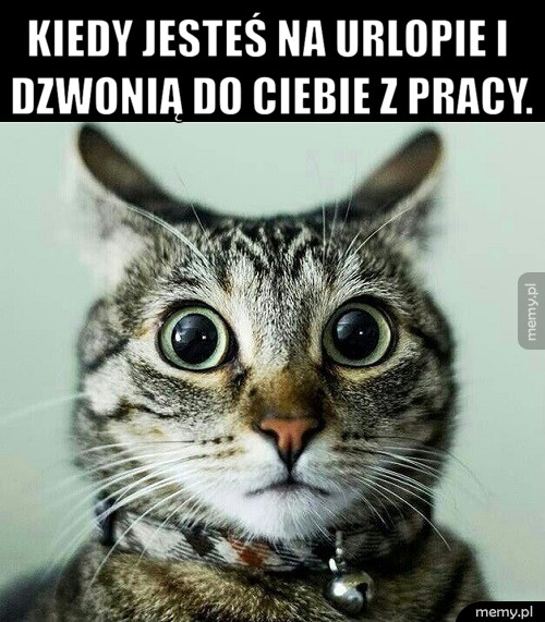 Na urlopie