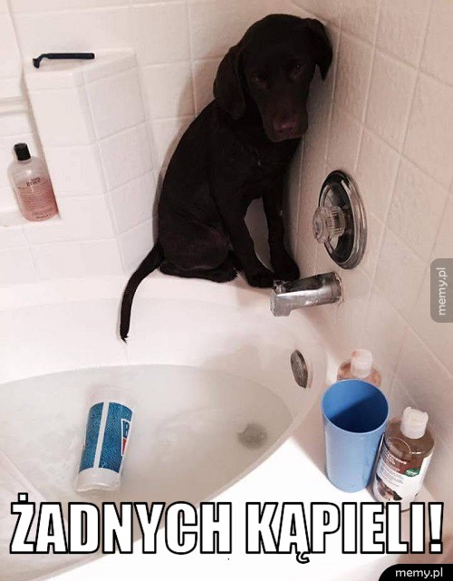 Żadnych kąpieli!   