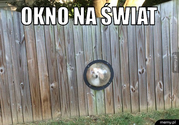 Okno na świat  