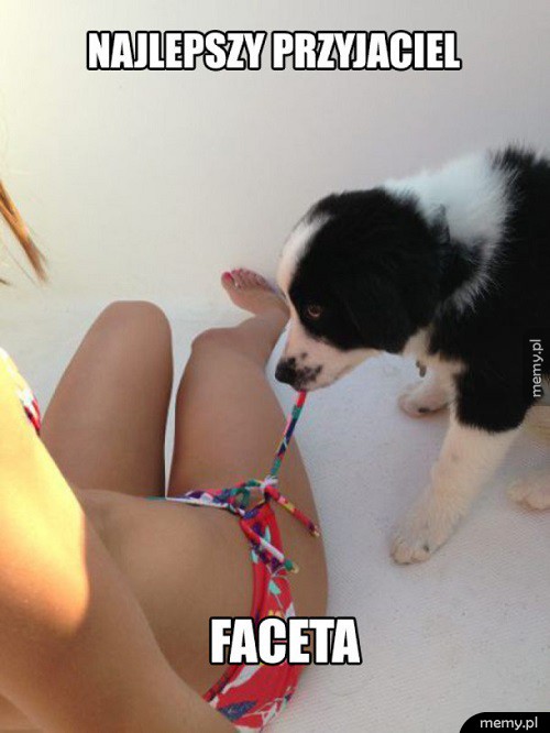 Prawdziwy przyjaciel