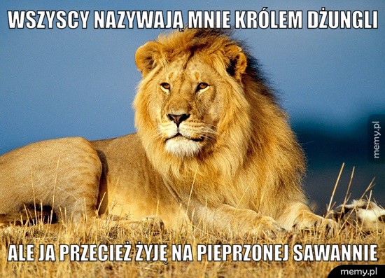 Król dżungli