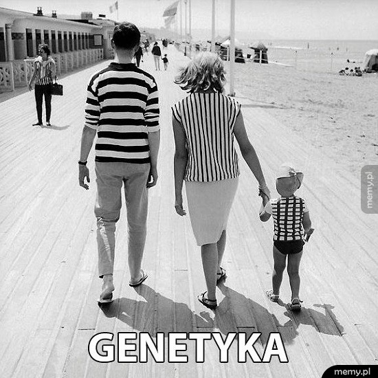 Genetyka