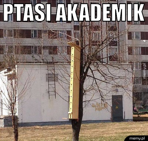 Akademik