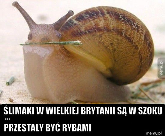 Szok i niedowierzanie