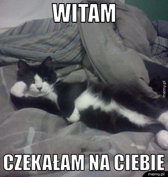 Witam