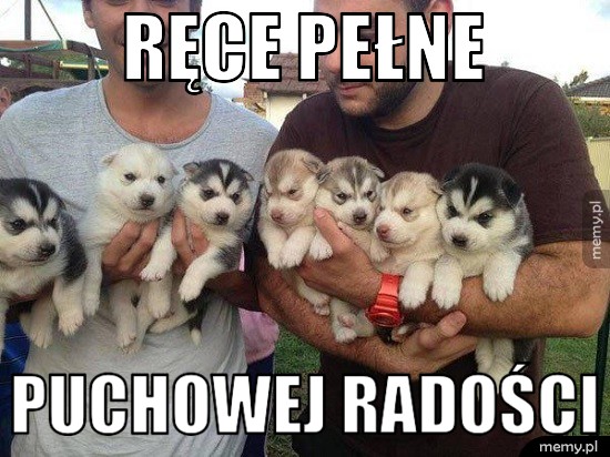 Puchowa radość