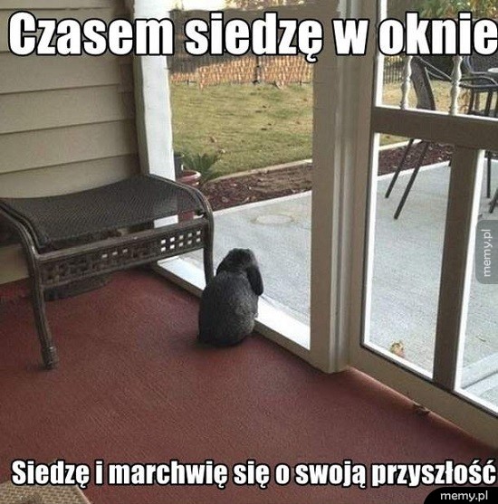 Czasem się trochę marchwię