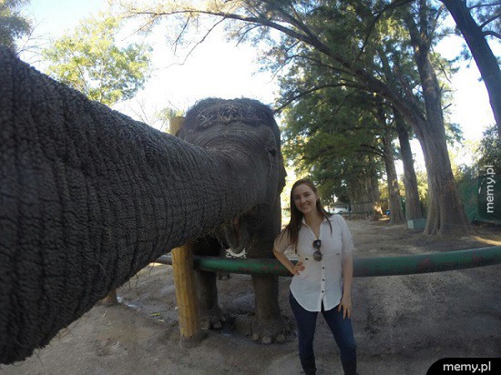                Selfie  