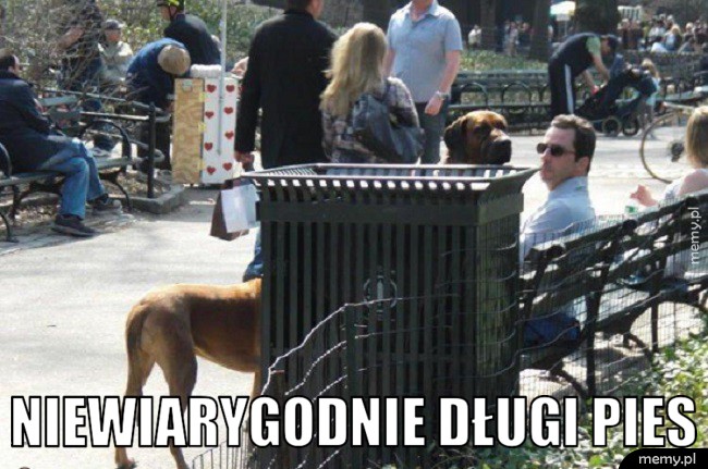           Ale długi            