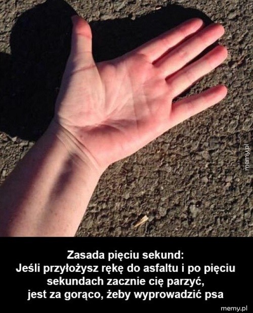 Zasada pięciu sekund