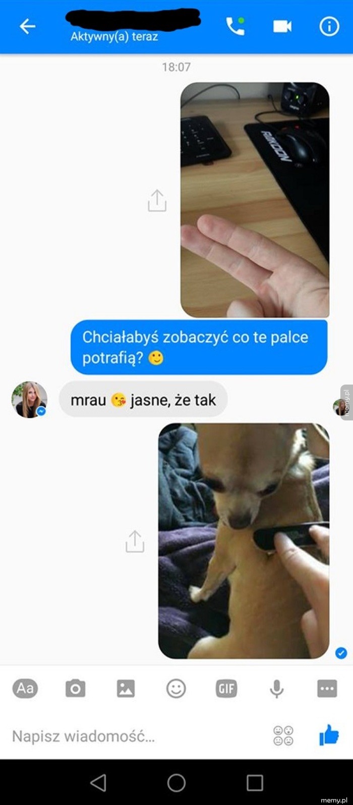 Palce