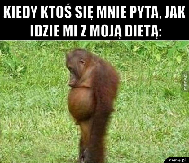                       Dieta