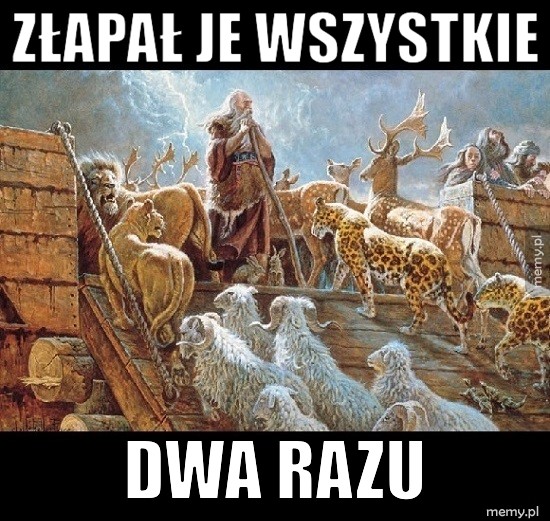 Prawdziwy trener