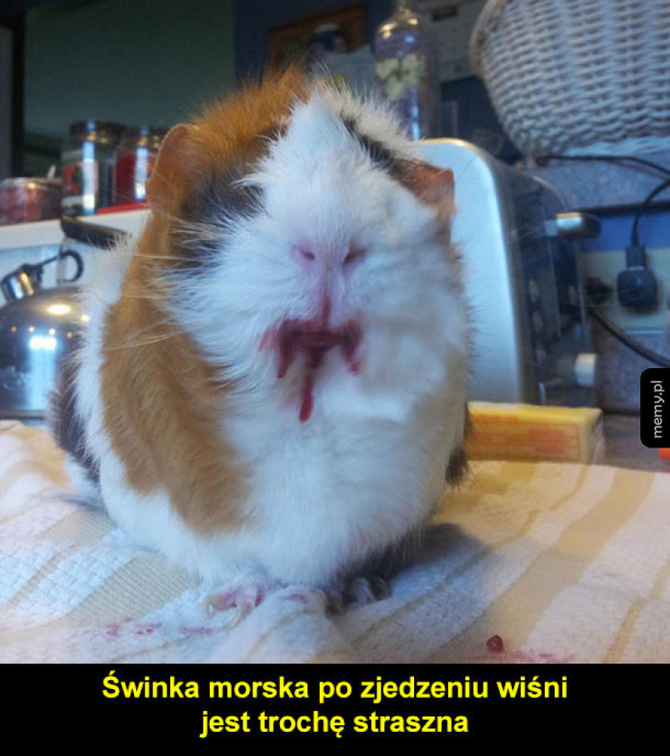 Chyba szatan