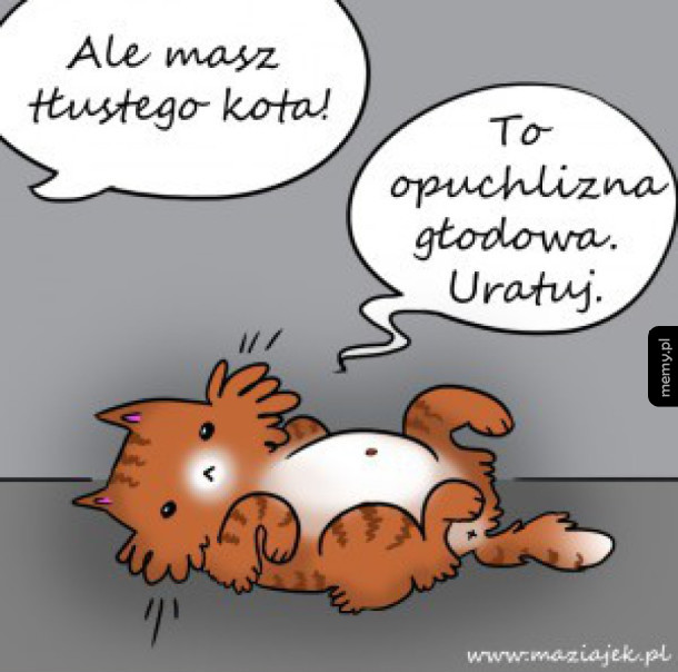 Głód
