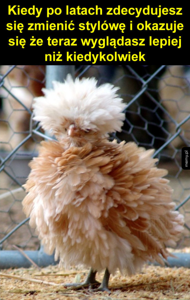Nowa stylówa