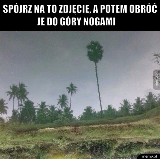 Co to za magia 