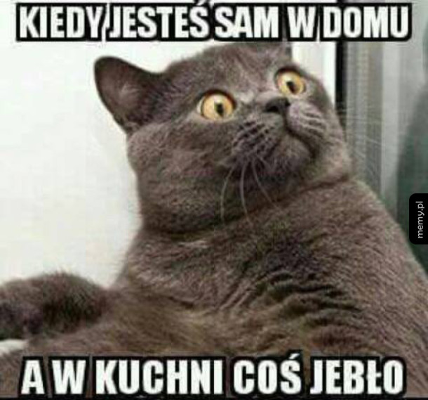Duchy???