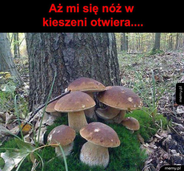 Komu też?