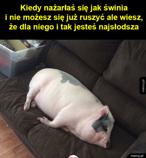 Laski takie są